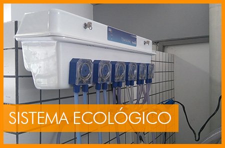 Sistema Ecológico Sistema Ecológico